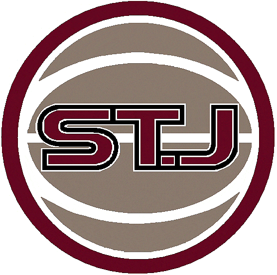 St. John's Red Storm 2004-2006 Alternate Logo iron on transfers for T-shirts